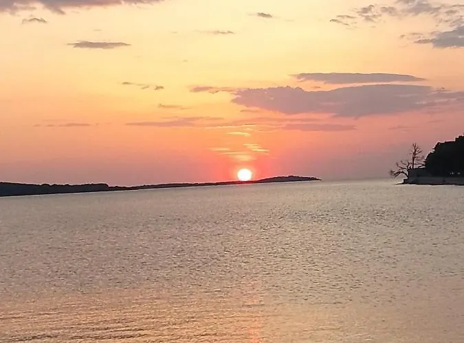 Abelia Medulin 普拉