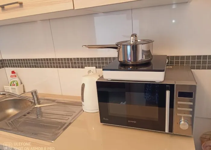 Abelia Medulin * 普拉